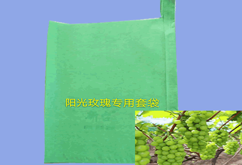 阳光玫瑰专用套袋(图1)